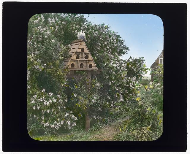 &quot;Gray Gardens,&quot; Robert Carmer Hill house, Lily Pond Lane, East Hampton, New York. Dovecote: Johnston (Frances Benjamin) Collection, Prints &amp; Photographs Division, Library of Congress, LC-DIG-ppmsca-16226
