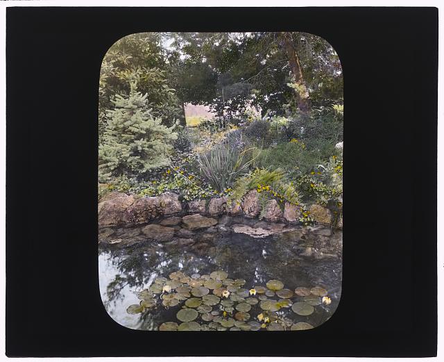 William Alexander Spinks, Jr., ranch, Foothill Boulevard, Duarte, California. Lily pool: Johnston (Frances Benjamin) Collection, Prints &amp; Photographs Division, Library of Congress, LC-DIG-ppmsca-16026