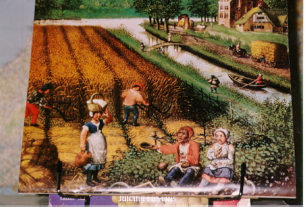 The Medieval Woman: An Illuminated Calendar for 1993. New York: Workman Publishing: From Working Women in the Middle Ages